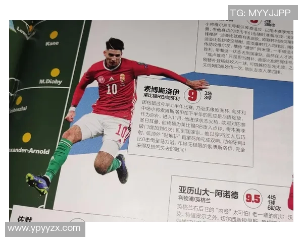 探索索博斯洛伊的历史与文化遗产之旅：揭开神秘面纱的多元魅力