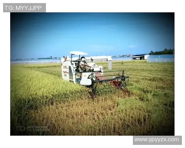 弗格的传奇人生与时代变迁的交织探索 弗格的传奇人生与时代变迁的交织探索