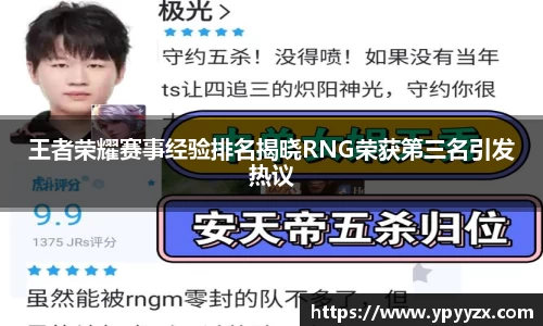 王者荣耀赛事经验排名揭晓RNG荣获第三名引发热议