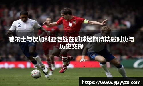 威尔士与保加利亚激战在即球迷期待精彩对决与历史交锋