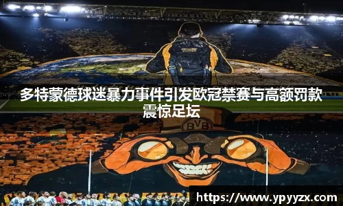 多特蒙德球迷暴力事件引发欧冠禁赛与高额罚款震惊足坛