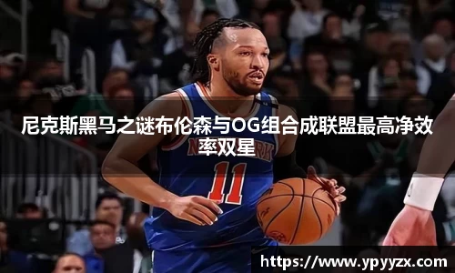 今年会平台入口