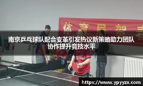 南京乒乓球队配合变革引发热议新策略助力团队协作提升竞技水平