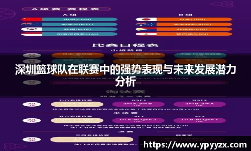 深圳篮球队在联赛中的强势表现与未来发展潜力分析